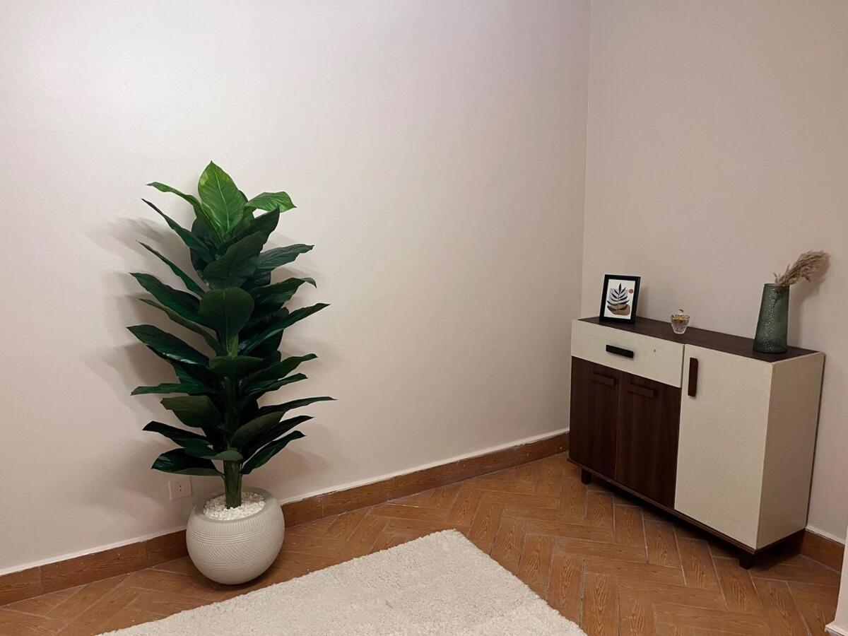 Nile View Luxury Apartment *